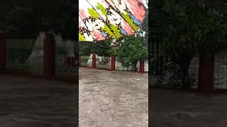 banjir daerah tegal selagalas