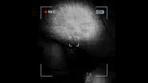 Content Warning Gameplay 2024