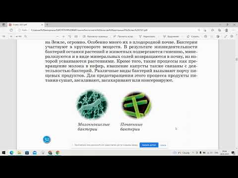 9.Распространение бактерий. Бактериальные заболевания. Вирусы/1 ЧАСТЬ