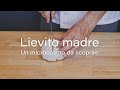 🔴 LIEVITO MADRE, UN MICROCOSMO DA SCOPRIRE 🔴 IL CORSO 🔴