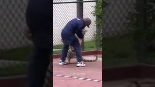 Mike Tyson playing with his Tiger