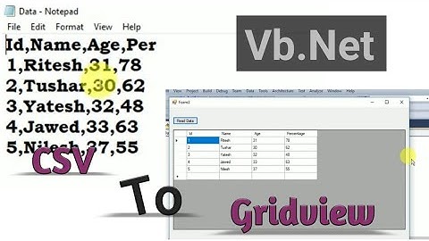 Import csv file to datagridview control in vb.net