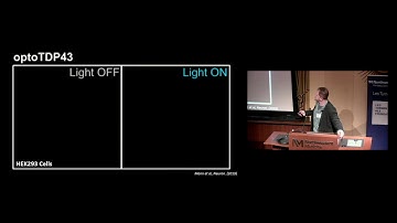 Pathological Phasing Out of RNA Binding Proteins in ALS