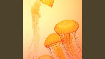 Pulsating Backdrops for Fresh New Moods