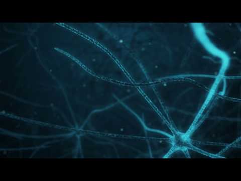 Animation of travelling