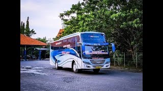 BUS Bojonegoro All New Infinity pertama By WIDJI LESTARI..!! BUMEL rasa PATAS.