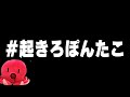 ぽんたこが起きるまで山に登ります