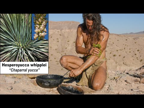 Primitive Hair Washing with Natural Shampoo During Full Moon in Wilderness