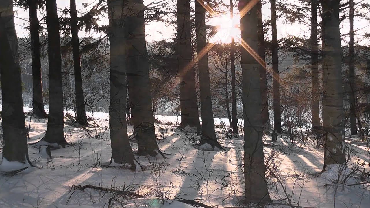 Winter im Calenberger Land - Zwischen Pattensen und Barsinghausen...