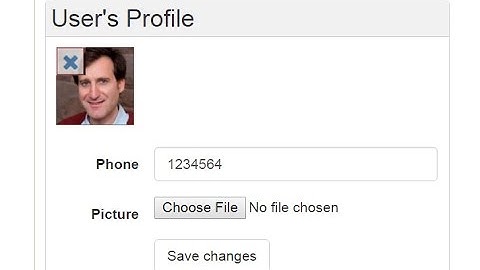 17 upload a picture, resize it, and delete it ASP NET VB