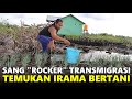 Saatnya panen transmigran termuda sp10 ini mulai menikmati profesinya berkebun sayur