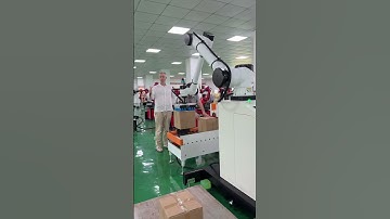 Palletizing robot #six-axis robot #industrial robots