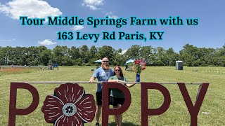 Tour Middle Springs Farm with us