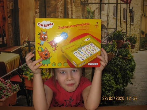 Три кота. Люба играет в электровикторина из Галамарт. :-)