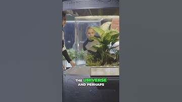 Mars: Unveiling the Secrets of the Red Planet