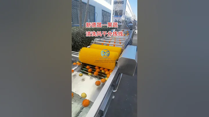 Xindesheng Automation Technology Fruit Washing,Drying Machine (XDS-800G-A)#washing #fruit #food