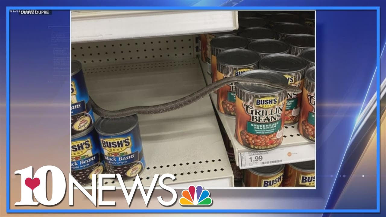 North Carolina woman finds snake slithering on Target shelf YouTube