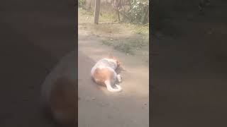 Jack and secure app 8