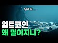 알트코인 왜 떨어지나요?
