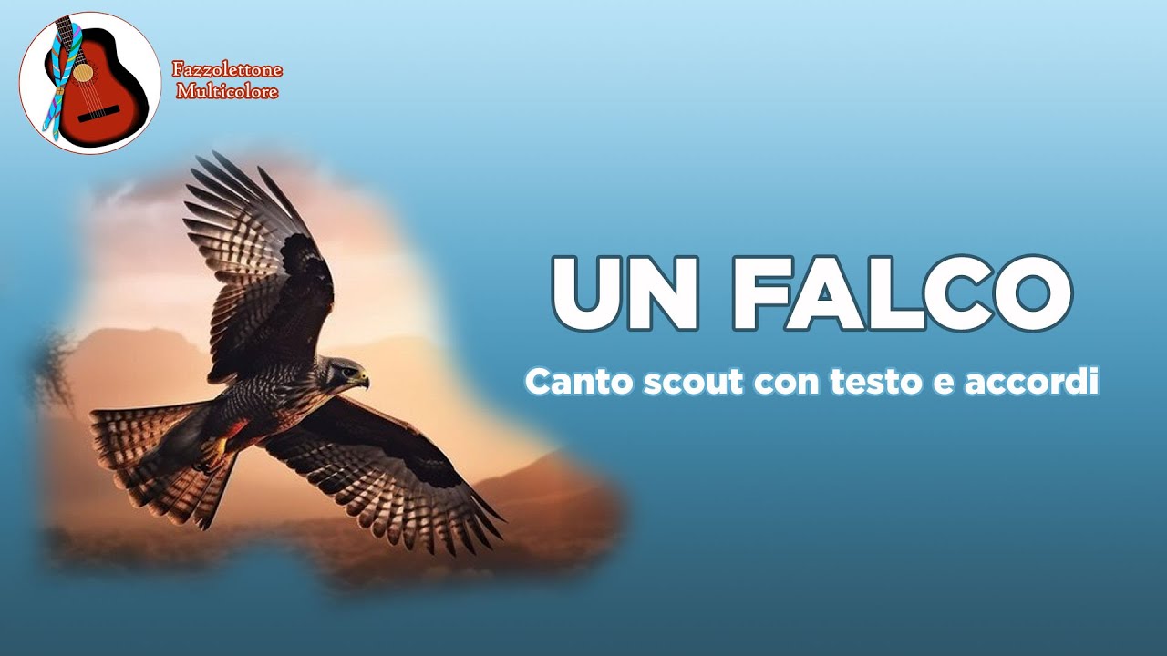 Un falco - canto scout con testo e accordi