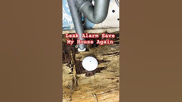 Is Smart Leak Alarm REALLY the Best Choice for Flood Protection?