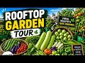 Chhat Ki Sabji ki सैर, Rooftop Garden Tour