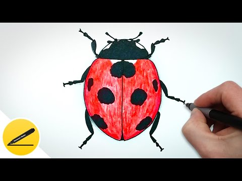 Как нарисовать божью