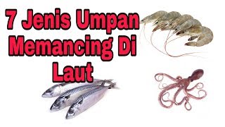 7 Jenis Umpan Memancing Di Laut.
