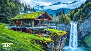 Calming Piano Music 🌿 Gentle Relaxing Music & nature Sounds to Anxiety Relief and Inner Peace