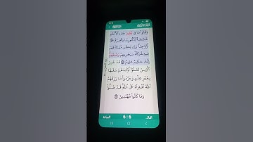 سورة الأنعام الآية 138-139 سعد الغامدي
