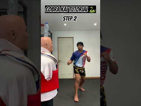 COBRA KAI KICK