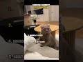 Ranking funniest cats reaction 🐈 😂#shorts