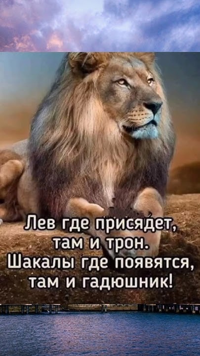 #новости #красота #мотивация #красота #цитаты #новинка #спорт # ...