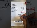 💧 Что происходит, когда ты выпиваешь DrainEffect?