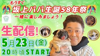 【生配信】もうすぐ坂上パパの生誕祭！一緒に楽しみましょう！またまた素敵なお知らせがあるかも！？さて今日のゲストワンコにゃんこは誰でしょう！？