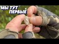 Уникальные находки на гороховом поле с металлоискателем!