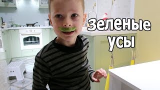 VLOG: Порезала палец новым ножом / Вкусные грибные котлеты VLOG: Порезала палец новым ножом / Вкусные грибные котлеты