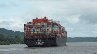 Panama Canal cuts ship traffic as El Niño threatens water supplies