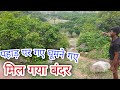 पहाड़ पर गए घूमने गए मिल गया बंदर #vlog