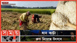 আমনের ফলন ভাল হওয়ায় কমতে পারে চালের দাম | Amon Rice | Dinajpur News | Somoy TV