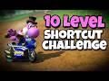 The 10 Level Mario Kart World Shortcut Challenge