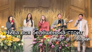 видео: Нива вся белёшенька стоит | House of Prayer  картинка: Нива вся белёшенька стоит | House of Prayer