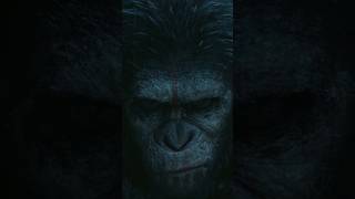 Apes together strong ⚔️ Planet of the apes edit #fanvidfeed #planetoftheapes planetofthe