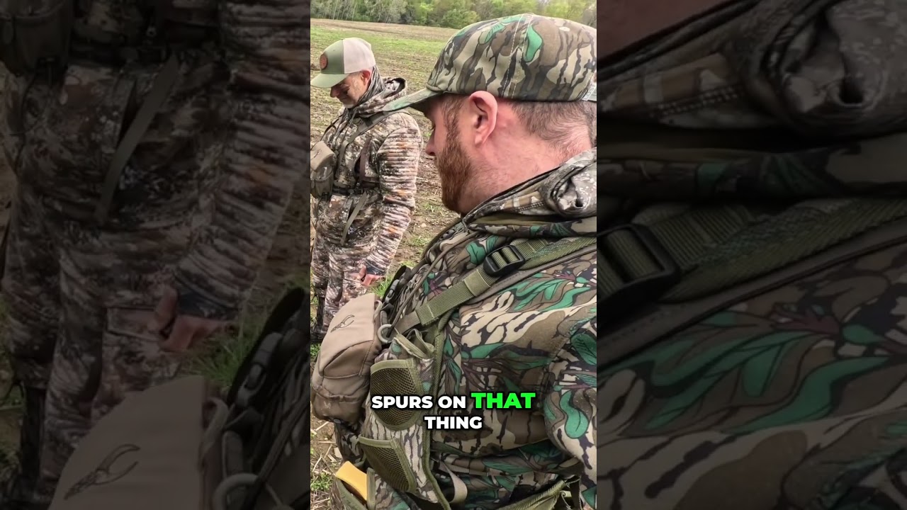 HUGE Wild Bird Goes Down
