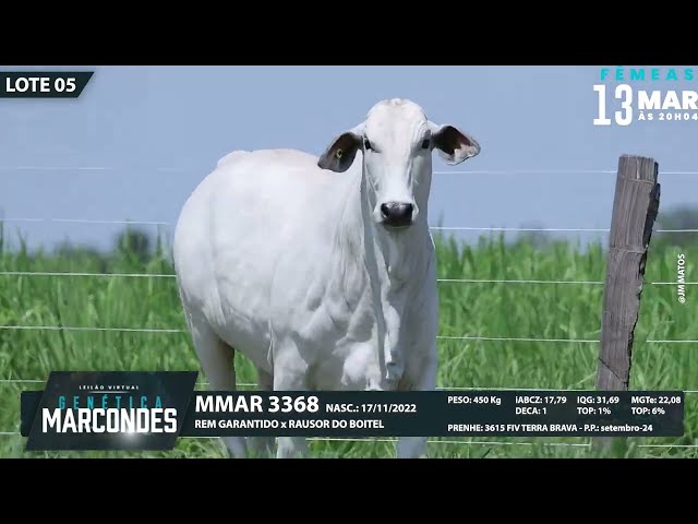 LOTE 05   MMAR 3368