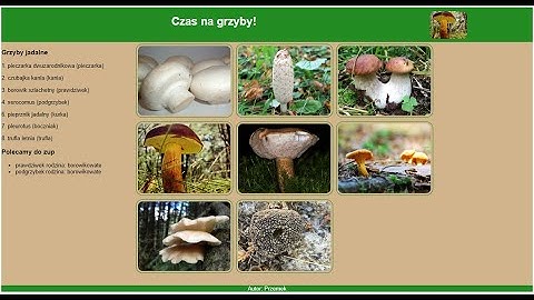 Egzamin INF.03 EE.09 E.14 PHP "GRZYBY"