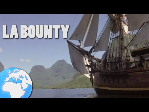 Vidéo: À La Suite De La Mutinerie Sur Le Bounty, Une Nouvelle Colonie Est Apparue - - Vue Alternative