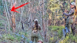 Bow Hunting With Holly  Sambar & Fallow Deer Hunt Australia