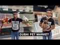 International  Pet & Dog market Dubai