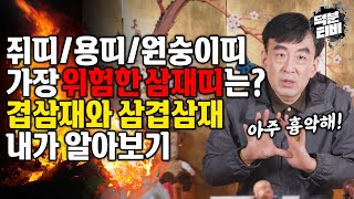 무당도 못 피하는 무시무시한 삼재!☠삼재띠 중 가장 위험한 띠는 무엇일까? 겹삼재와 삼겹삼재란 무엇일까?